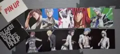 BLEACH　PINUP