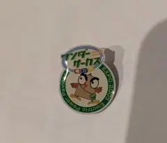 2025年最新】愛地球博 ピンバッジの人気アイテム - メルカリ