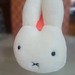 Item thumbnail for item 54c13cb5-f708-40ee-9f49-2819ca2b3ec6