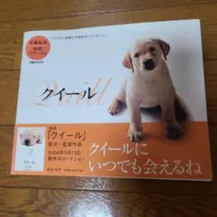 クイール 蓮井幸雄 2004年ムック