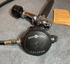 Item thumbnail for item 5f934d83-28c8-4b0f-94e8-16c43a5505f6