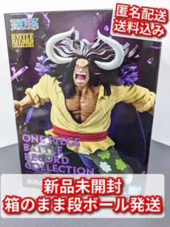 【即購入⭕️】ワンピース バトルレコードコレクション　カイドウ　フィギュア