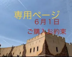 専用ページです