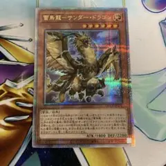 雷鳥龍　サンダードラゴン　QCシク　25thシークレット　QCCP クオシク