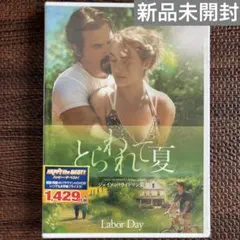 【新品未開封】とらわれて夏 DVD