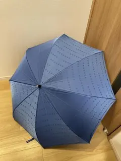 Item thumbnail for item 169fff67-0e9e-49d1-8b47-8875679363eb