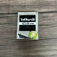 【ハイキュー‼︎展】ピンズ　青根高伸　伊達工業校章ピンバッチ付き