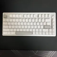 Elecom VK720A ホワイト ラピッドトリガー　キーボード