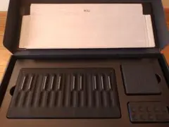 Item thumbnail for item 6eaa21ef-d133-41e0-b888-c816f51a5cdb