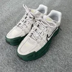 NIKE p6000