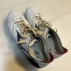 ミズノモレリアneo3