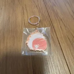 ハリーポッター ピグミーパフ キーホルダーのサムネイル