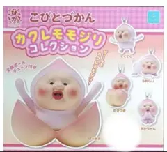 こびとづかん カクレモモジリ Funism 海外限定 1BOX こびとづかん カクレモモジリ Funism シークレット フィギュア 海外