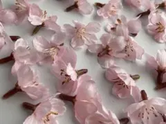 MAGIQ 薄紅の桜 落ち輪 造花