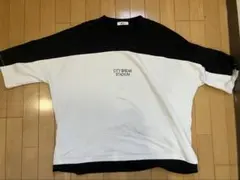 Item thumbnail for item c7d2dc5e-de3c-457e-8a45-f58c587749f3