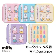 ミッフィー 70周年記念 ミニタオル 5枚組 ( Bタイプ )