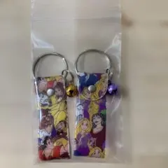 東京ディズニーリゾートプリンセス キーホルダーセット
