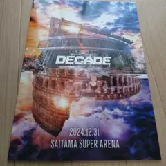 RIZIN DECADE パンフレット 2024