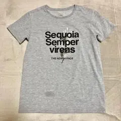 【ノースフェイス】 Tシャツ M グレー　プリント　クルーネック　★