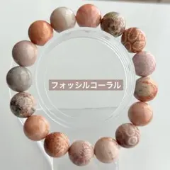 2026年最新】フォッシルコーラルの人気アイテム - メルカリ