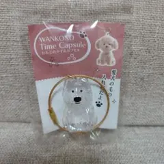 わんこのタイムカプセル　けだまだま　モコ