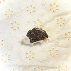 Item thumbnail for item 41d8eec9-8929-4efd-9fe1-ee4776f31bed