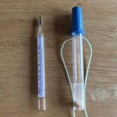 2026年最新】水銀体温計の人気アイテム - メルカリ