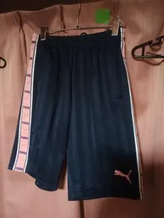 PUMAプーマ ネイビー ストライプ ジャージハーフパンツ