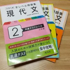 【書き込みなし】大学入試全レベル問題集現代文. 2,3,4 3冊セット