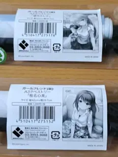 Item thumbnail for item 5f86176b-03e6-45a0-9407-35a1590bc0a8