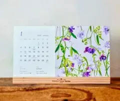 Item thumbnail for item faff223a-e33e-43b0-8410-3d7364764ff5