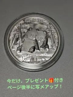 2026年最新】パンダ 銀貨 10の人気アイテム - メルカリ