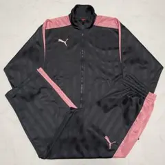 PUMA プーマ　プージャ　ジャージ　グレー×ピンク　セットアップ　上下