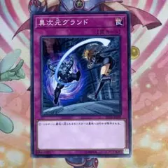 遊戯王 異次元グランド ノーマル