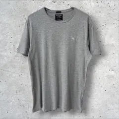 アバクロンビー&フィッチ アバクロ Tシャツ メンズ L グレー 綿100%のサムネイル