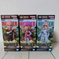 HUNTER×HUNTER　ワールドコレクタブルフィギュア　ハンター試験