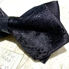 Item thumbnail for item c0104a53-7e54-432b-9f39-a16a4732862a