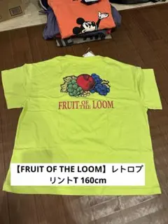 Item thumbnail for item 0ec34a00-9b56-4d3e-9ba2-1421b5069ebc