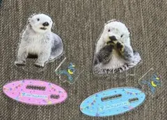 【使用済】鳥羽水族館 70周年 ラッコ メイキラ アクスタ パネルスタンド