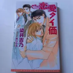 恋愛タイ価 BL小説
