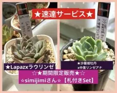 2026年最新】リンゼアナの人気アイテム - メルカリ
