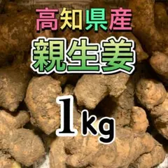 農家直送 高知県産 親生姜 特別栽培 1kgのサムネイル