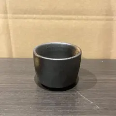 おちょこ　湯呑み　ブラック　20個セット　バラ売り可能