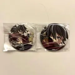 鬼滅の刃 WEBSHOP エンドロール くじ 箔押し缶バッジ 冨岡義勇 - メルカリ