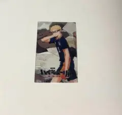 ゴミ捨て場の決戦展 月島蛍 ハイキュー