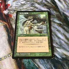 《復活の接触/Renewing Touch》[PO2] 日本語