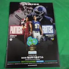 Item thumbnail for item d4139935-fc5d-4471-9cec-abd52e4313e9