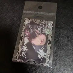 椎名ひかり アベイル チェキ ブロマイドカード