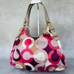 ⭐極美品⭐EMILIO PUCCI マルチカラー ワンショルダーバッグ 肩掛け