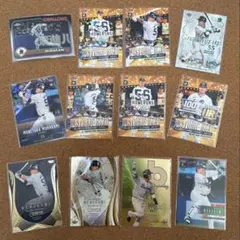 Item thumbnail for item 6171c9b1-75f5-440a-9c7b-3fd565ca613b